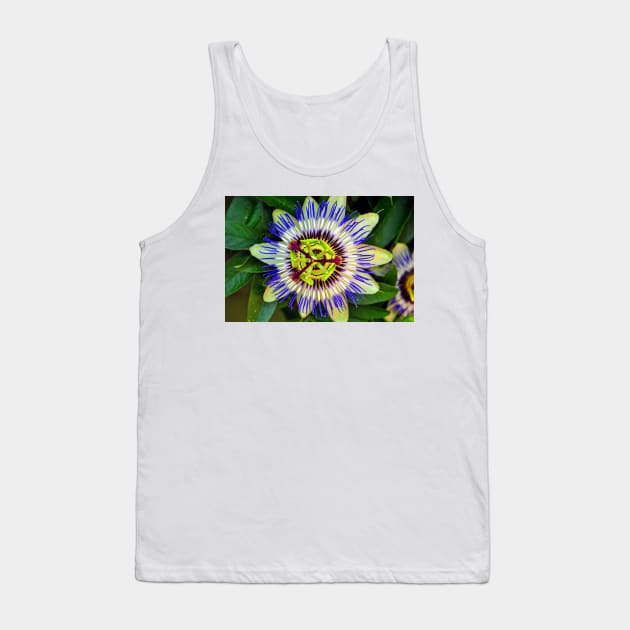 Passion Flower Summer Flowering Plant Tank Top by AndyEvansPhotos